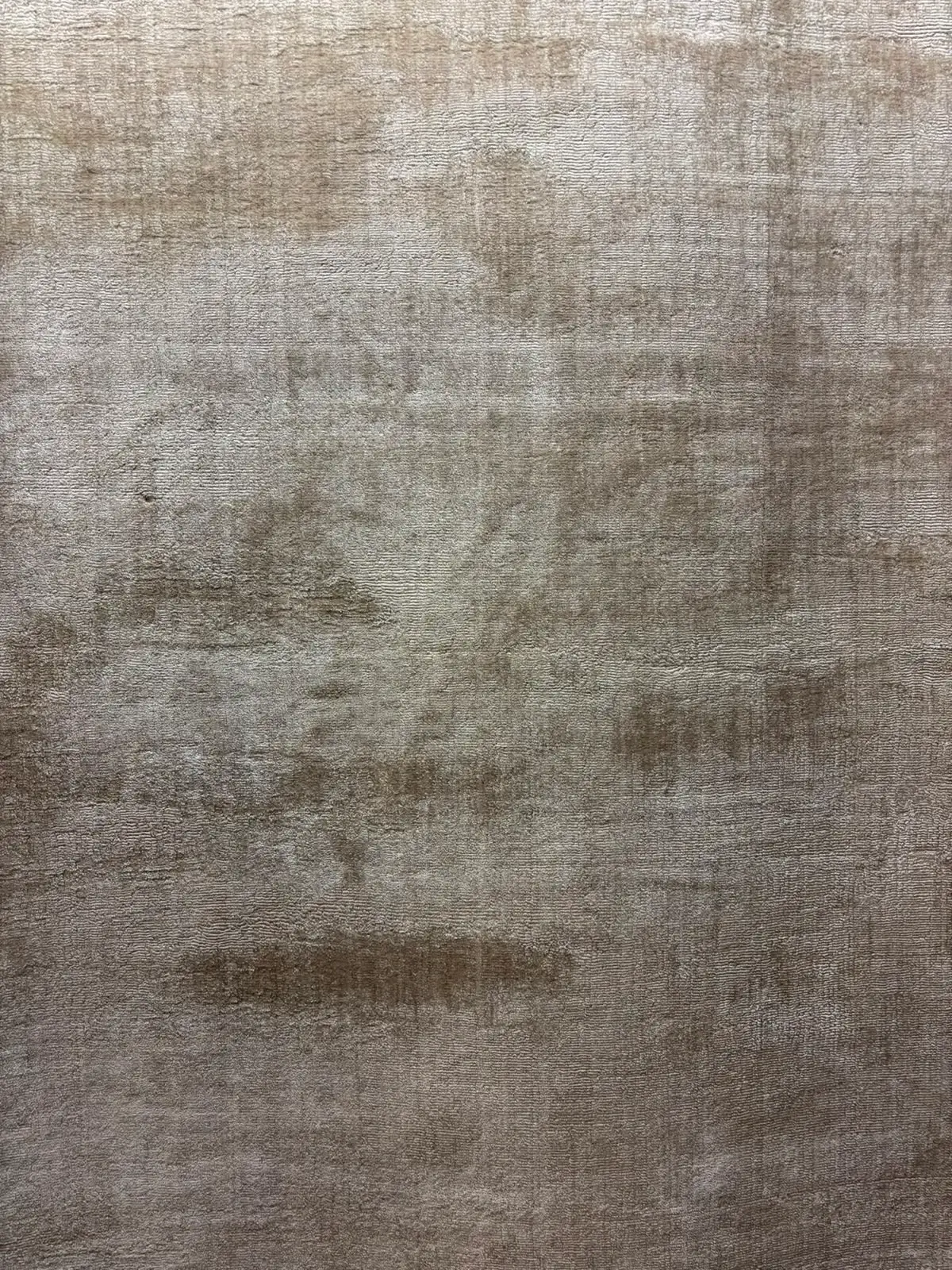 Collection Velaris — variante 2